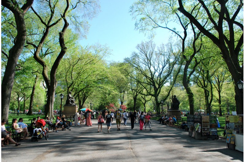 Walking Tour Durch Den Central Park Central Park Sightseeing Turbopass